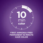 Color Express Try Me Kit - Light Warm, , large image number null